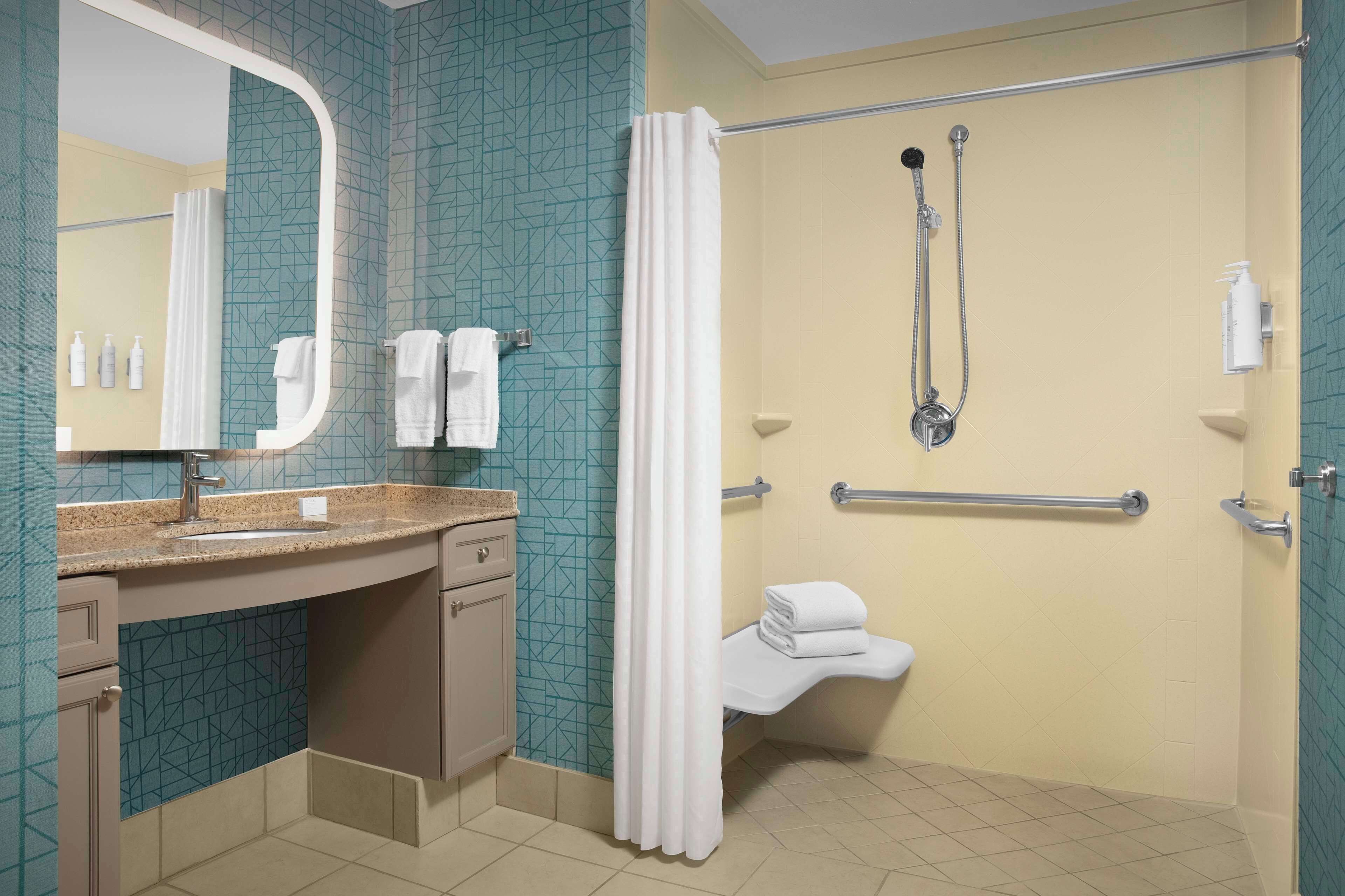 studio, 1 king bed, accessible (mobility & hearing, roll-in shower) | bathroom shower