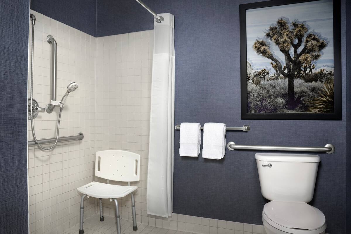 Un baño con ducha, inodoro, una silla y un cuadro enmarcado en la pared.