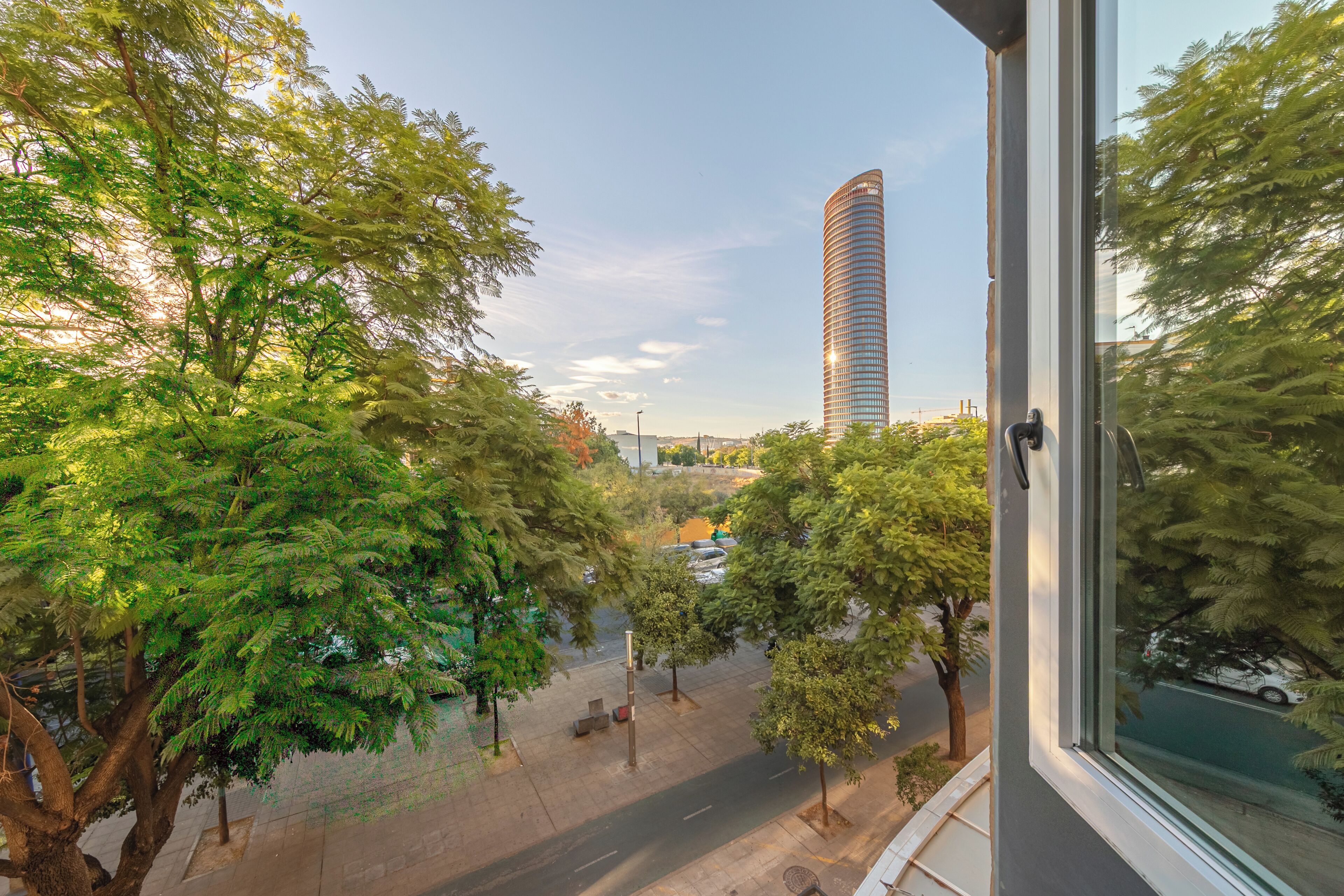 Blick aus einem Fenster auf eine Straße mit Bäumen und einem hohen Gebäude im Hintergrund.