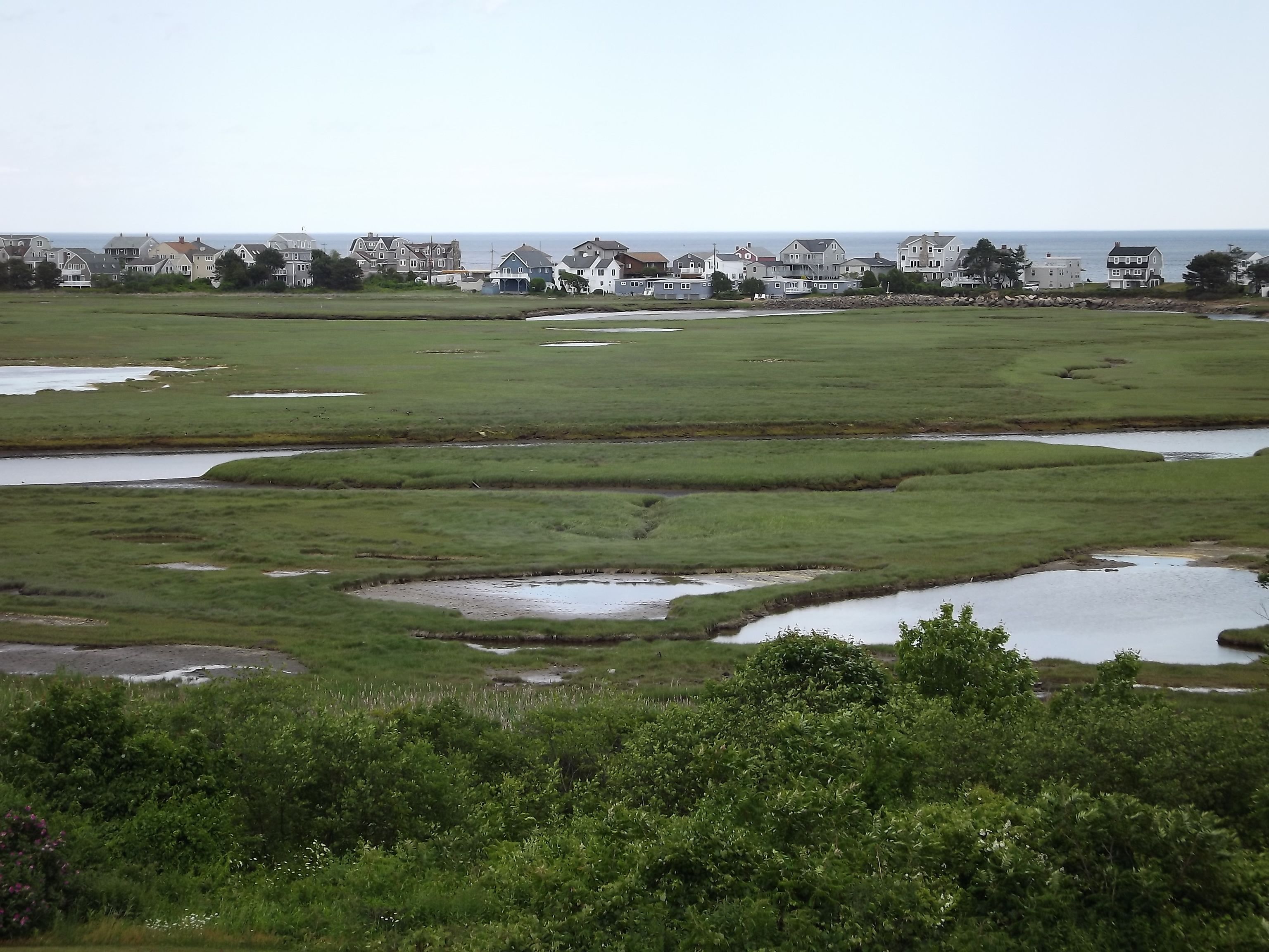 A coastal landscape with a series of houses in the background and a grassy field with small ponds in the foreground.