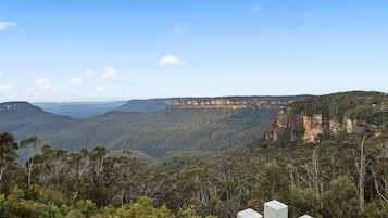 Una vista panorámica de un paisaje montañoso con bosque denso y acantilados.