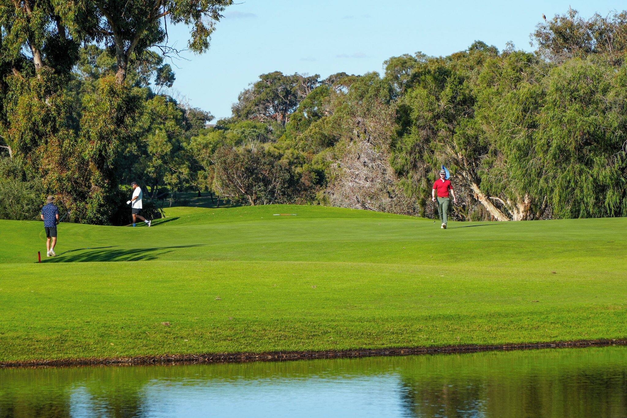 Un campo de golf con un estanque, árboles y cielo despejado.