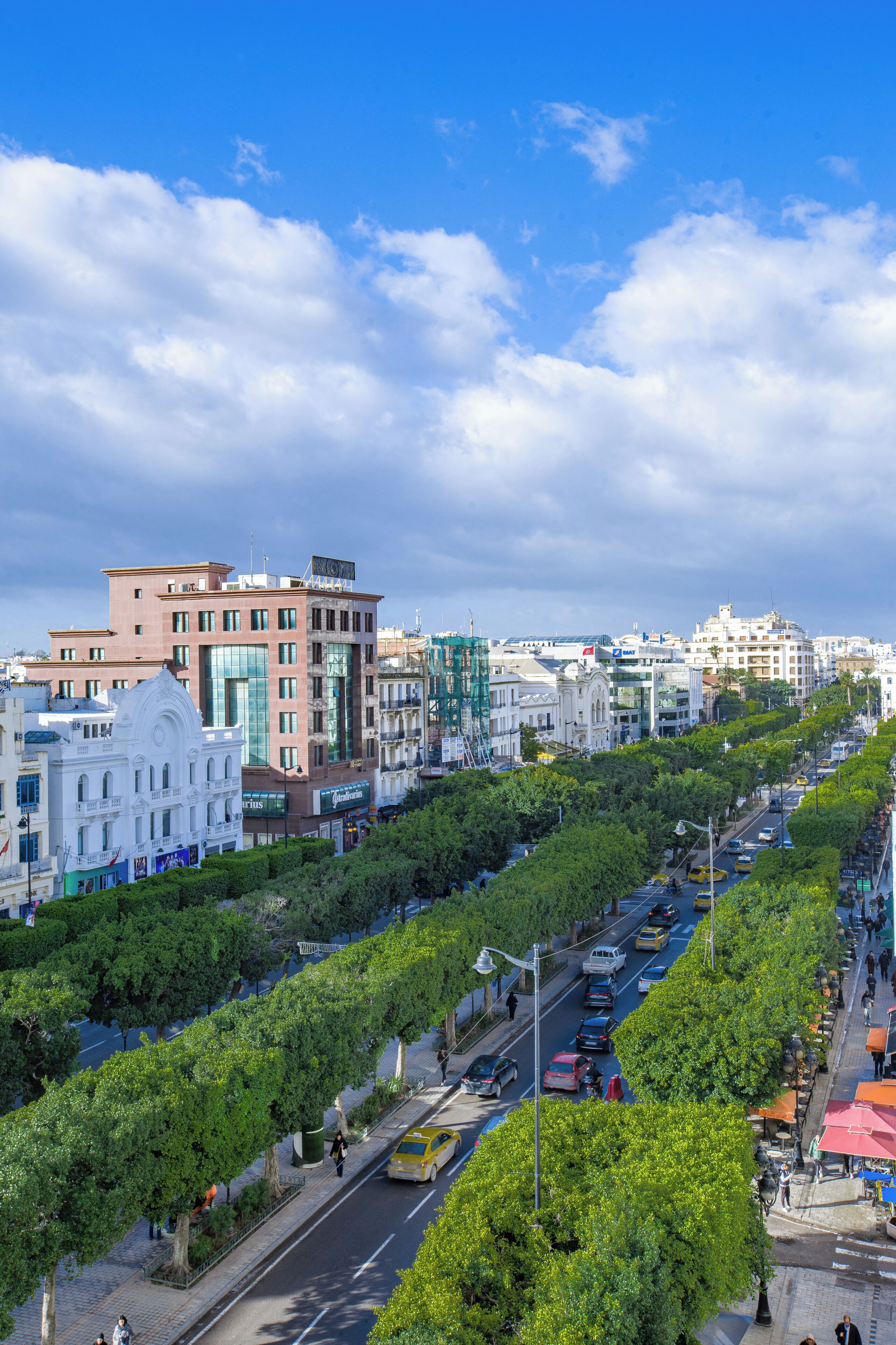 Une rue de la ville bordée d’arbres et d’immeubles, dont un bâtiment blanc à la façade incurvée et un bâtiment rose au design moderne.