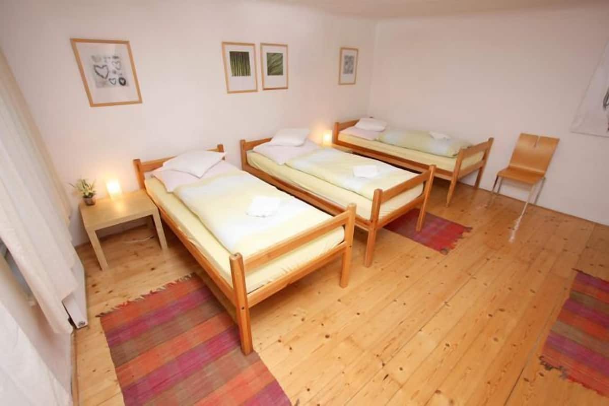 Green Apartment | 1 soverom, skrivebord, blendingsgardiner og lydisolert