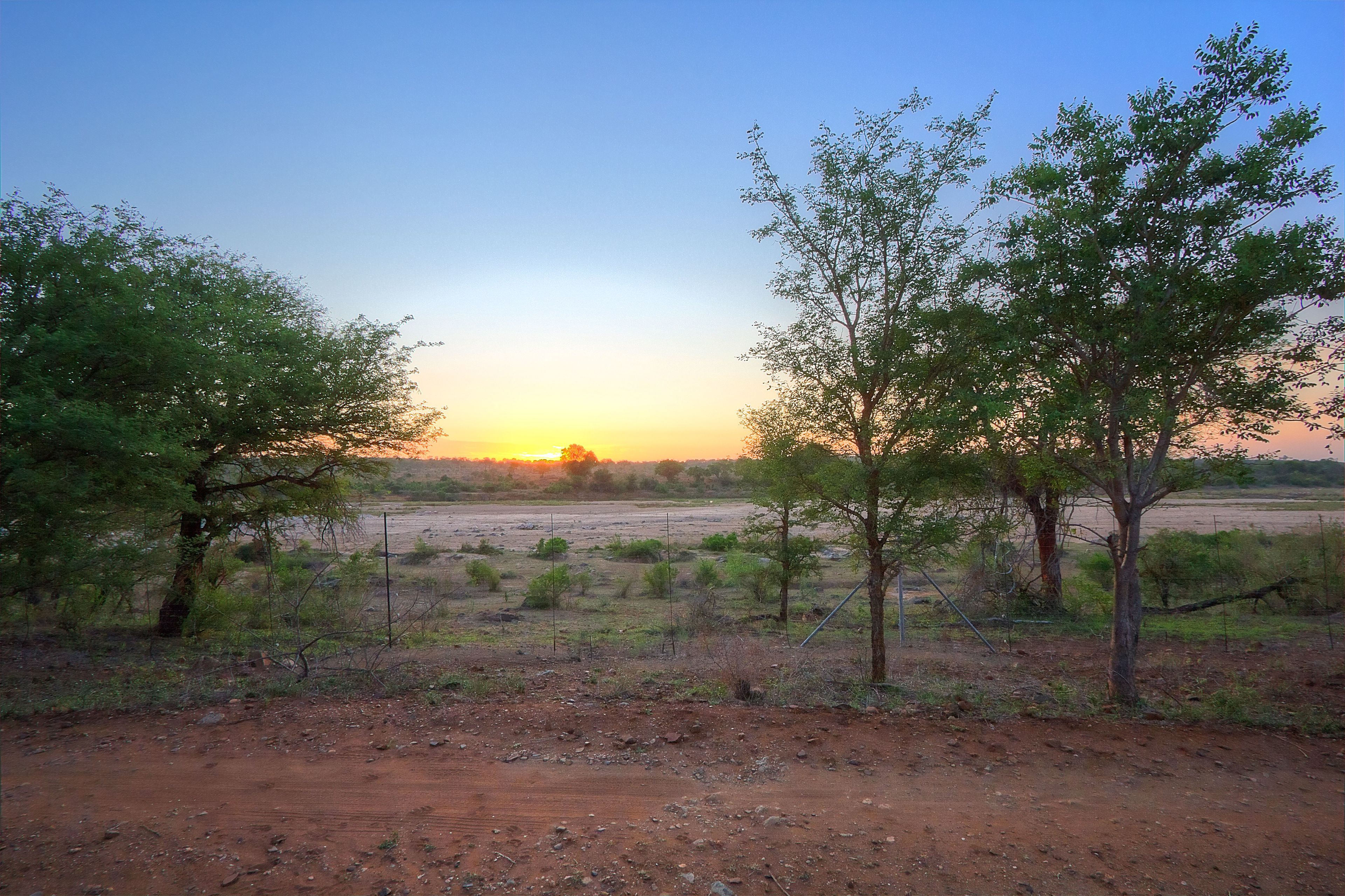 A dirt road leading to a sparse landscape with trees and a distant sunset.