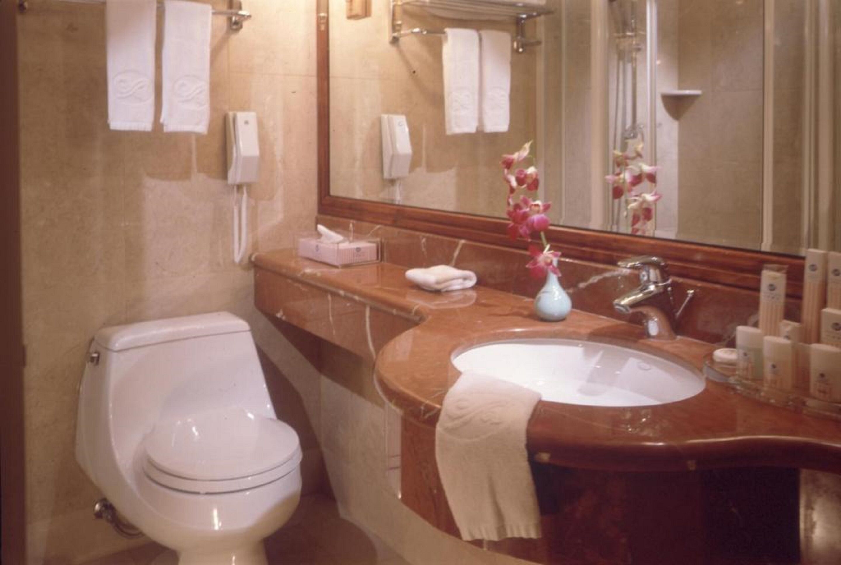Een badkamer met een wit toilet, een marmeren wastafel en een spiegel die een douchegedeelte weerspiegelt.