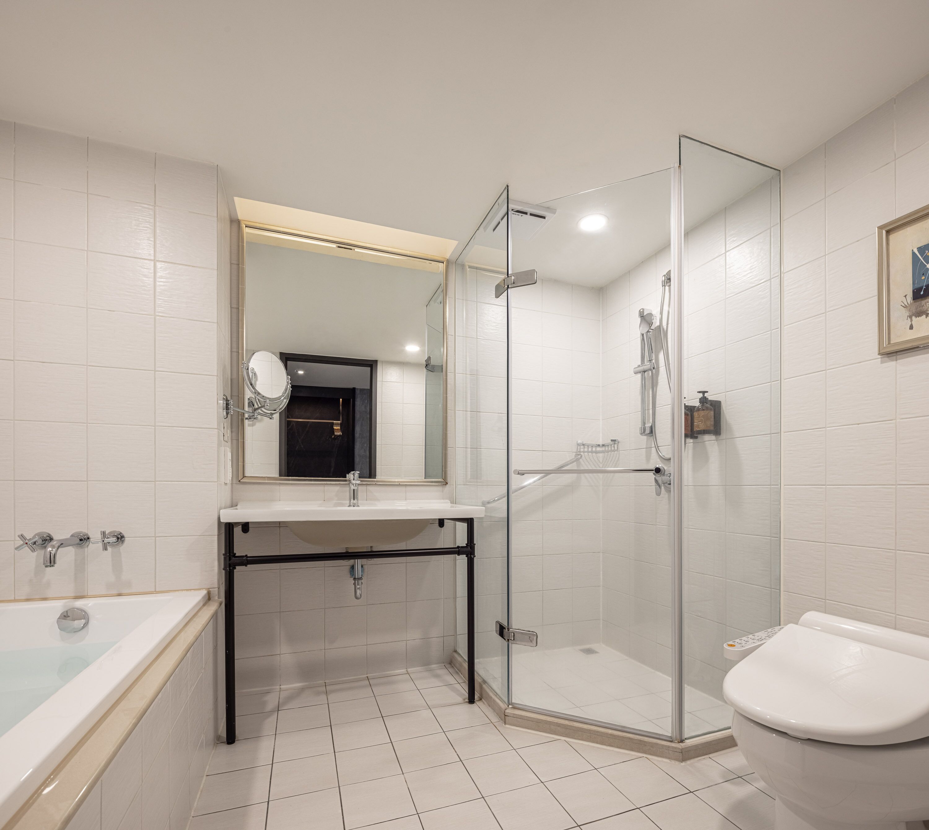 hair dryer, electronic bidet, towels, shampoo