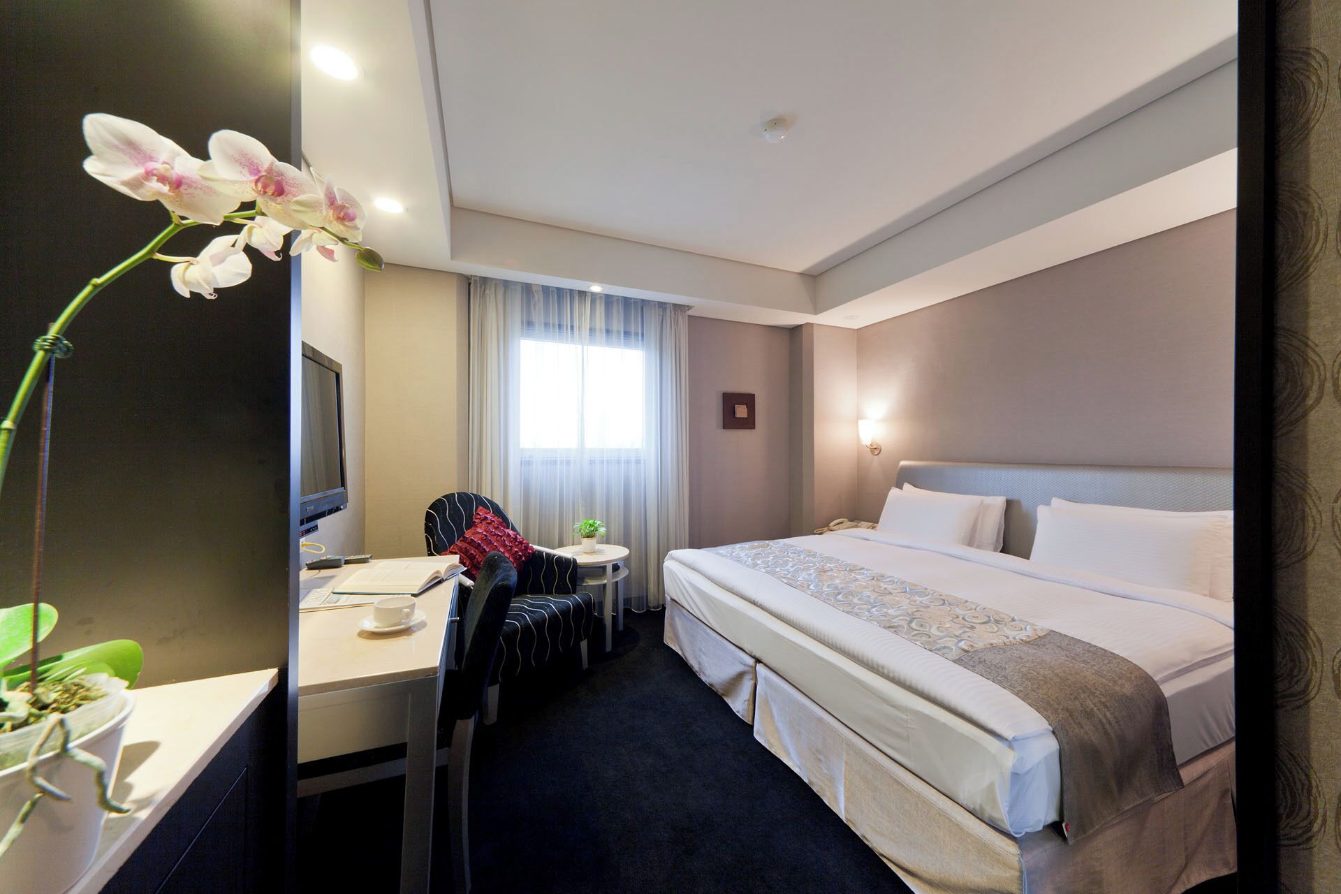 A hotel room with a bed, a desk with a chair, a TV, and a window with curtains.