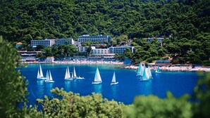 Unclassified image, 4 of 42, button - Hotel Adriatic (Dubrovnik)