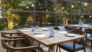 A restaurant with wooden tables and chairs, large windows with a view of indoor plants, and hanging lights.