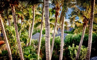 Un resort tropical con palmeras y vistas a un edificio con tejado de baldosas.