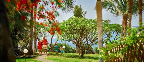 Un sendero en un jardín tropical con palmeras y abundante follaje.