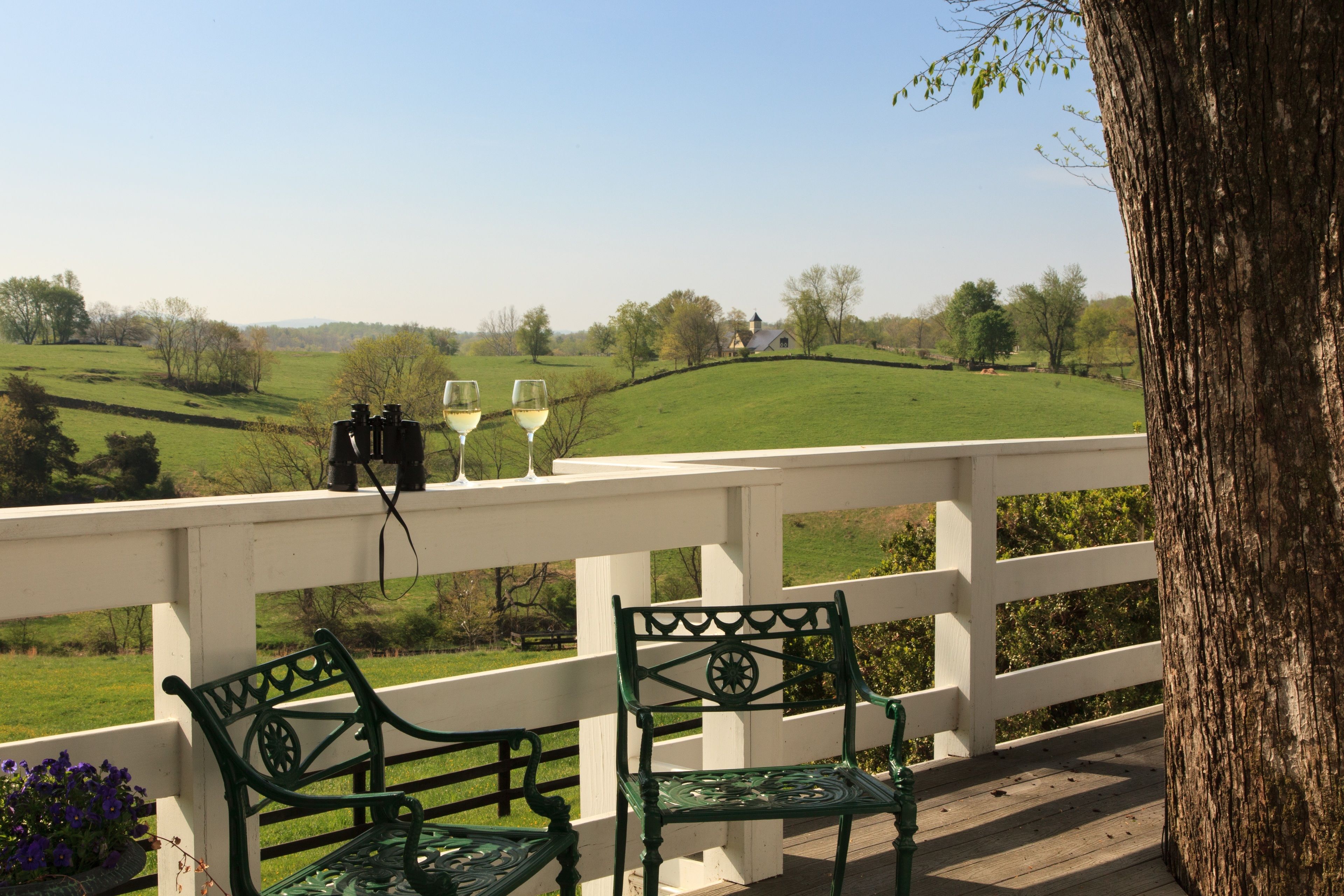 Comodidades da propriedade