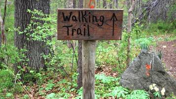 Un letrero de madera con la inscripción 'Walking Trail' y una flecha hacia arriba, que indica el camino a seguir.