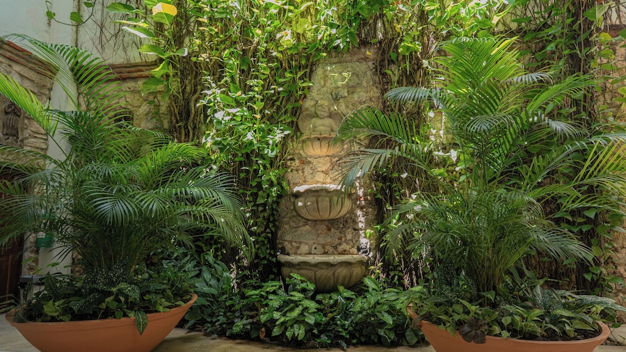Hotel Casa La Fe By BespokeColombia