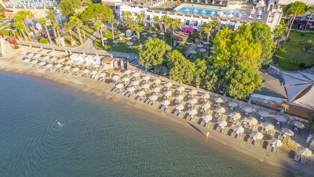 Vista aérea de un resort en la playa, con filas de tumbonas y sombrillas, piscina y abundante vegetación.
