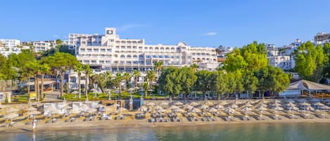 Servicio de la propiedad