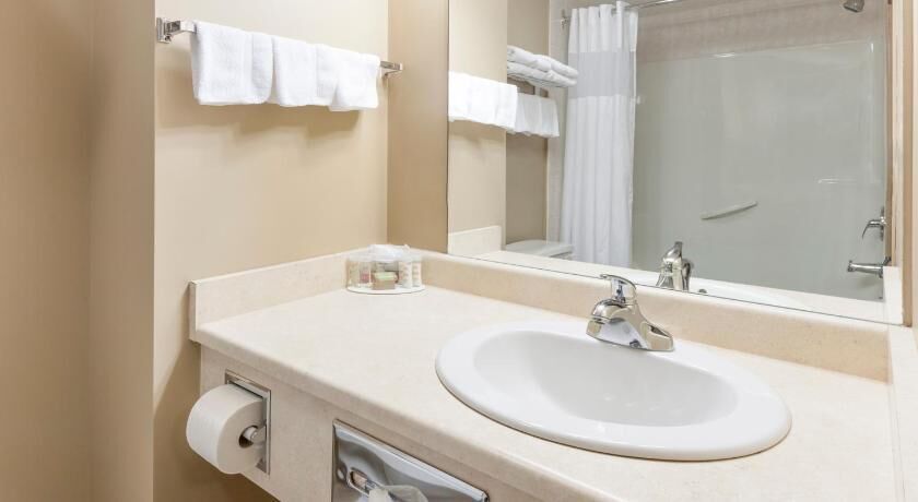 Bathroom | Combined shower/tub, free toiletries, hair dryer, towels