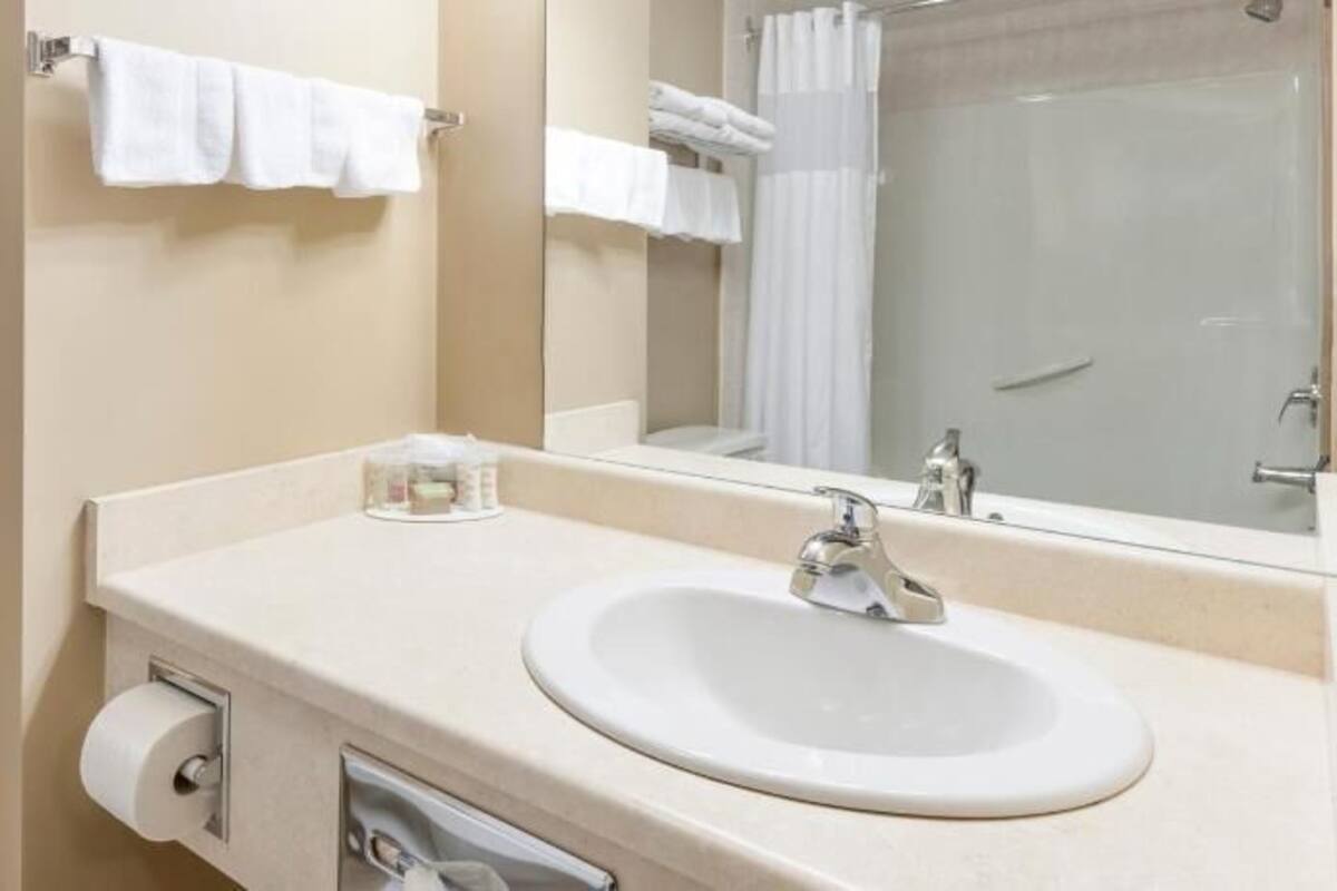 Bathroom | Combined shower/tub, free toiletries, hair dryer, towels