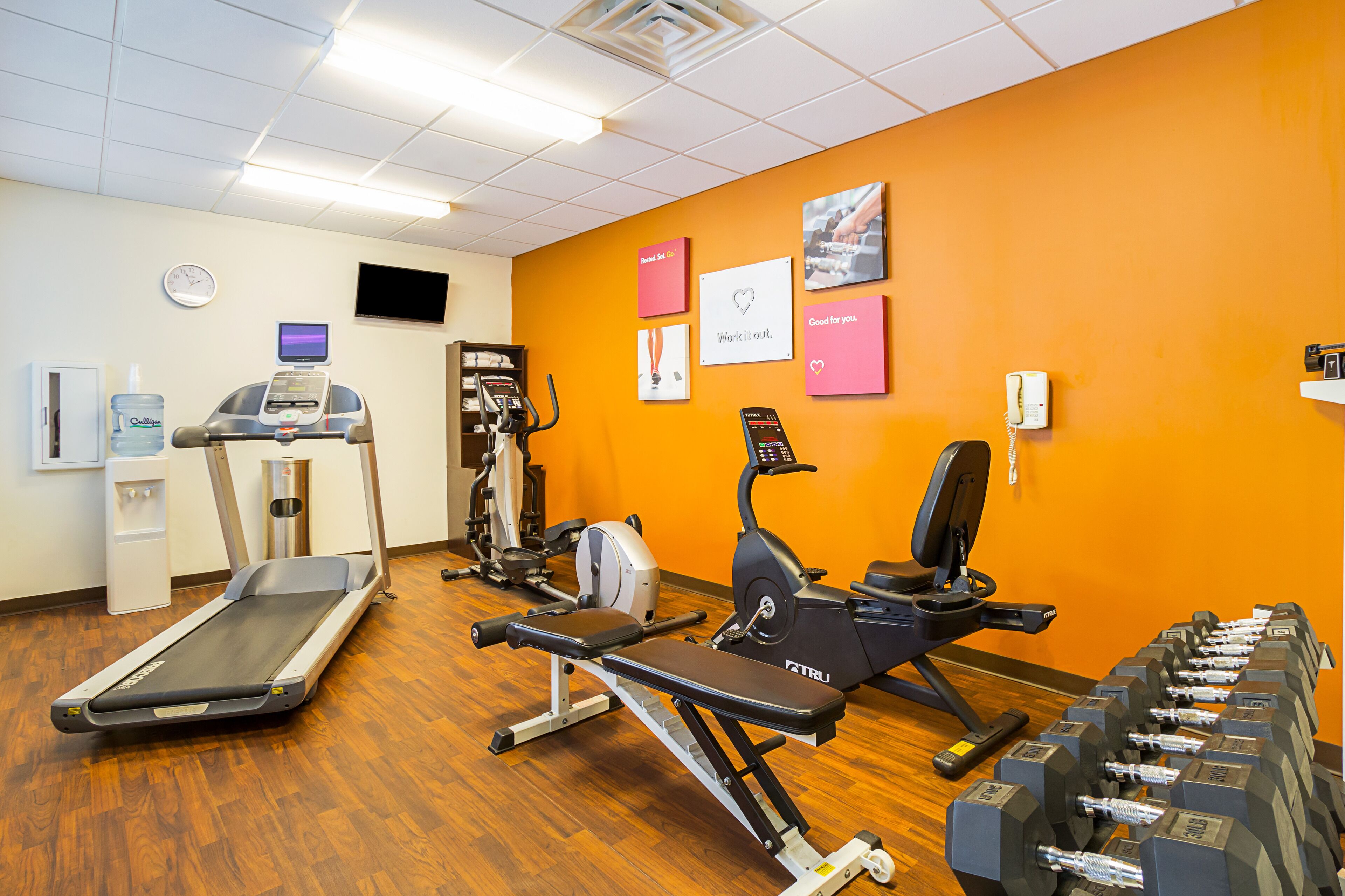 Un gimnasio con máquinas de cardio, bancos de pesas y mancuernas.