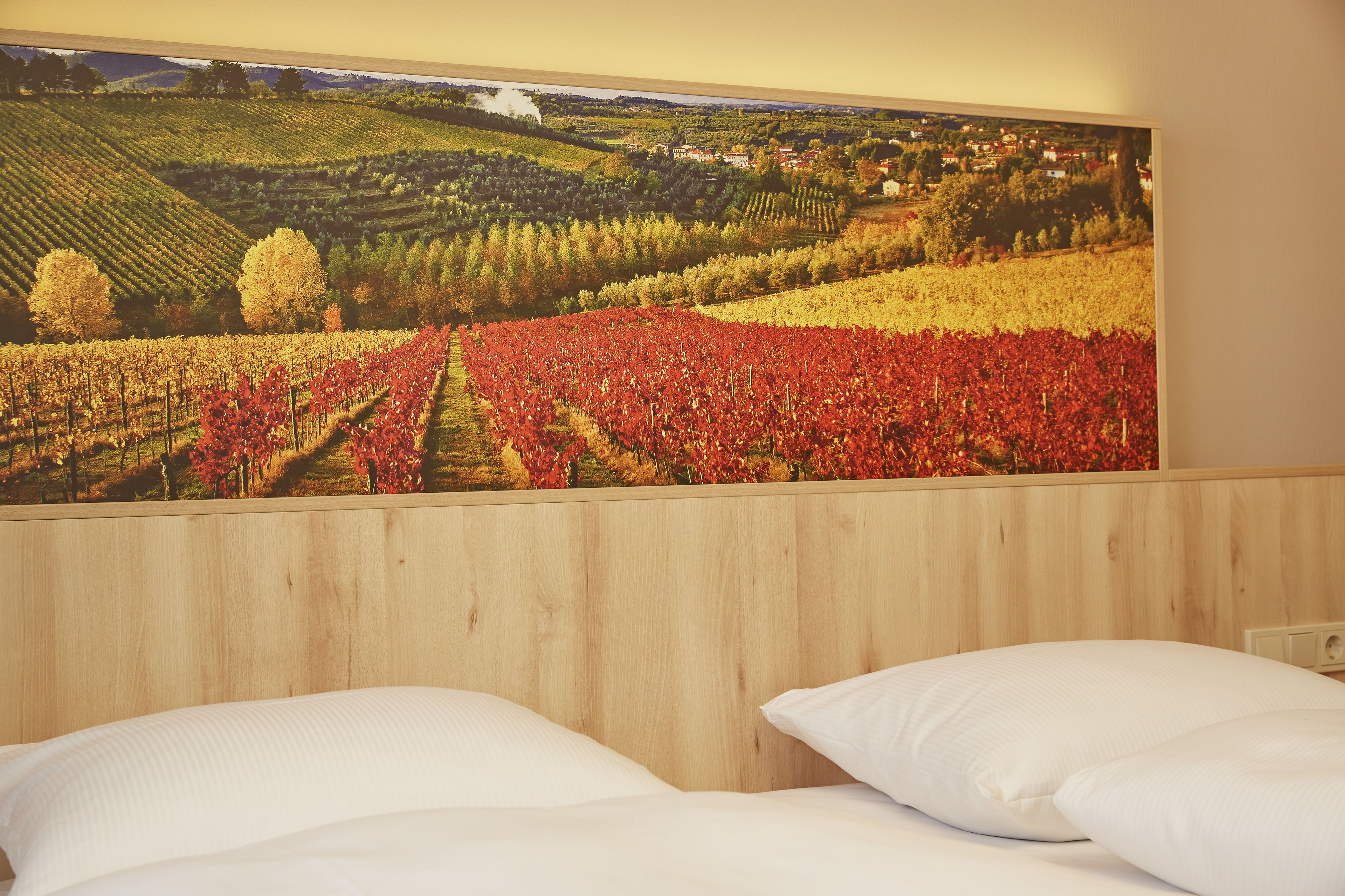 premium bedding, down duvets, desk, blackout curtains