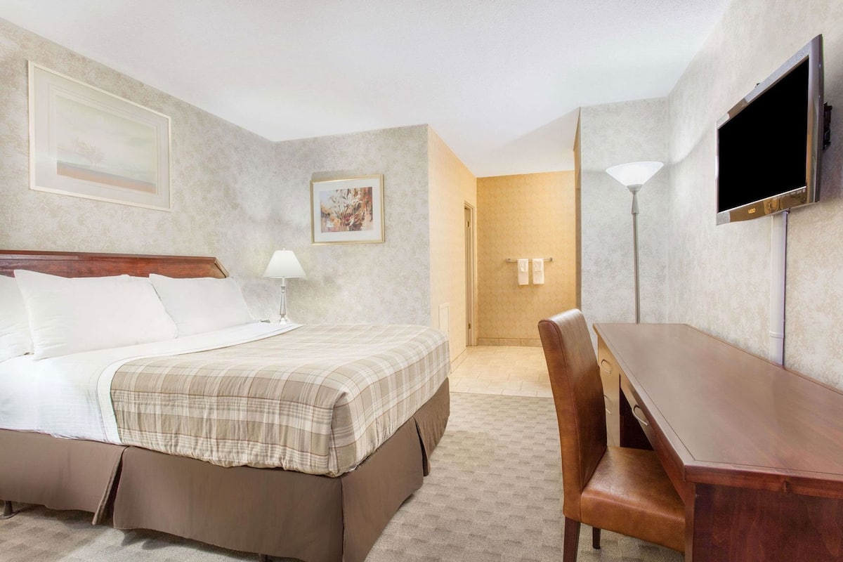 Une chambre d’hôtel avec un lit, un bureau, une chaise, une télévision et un tableau au mur.