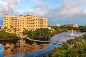 Exterior - Hilton St. Petersburg Carillon Park (St. Petersburg)