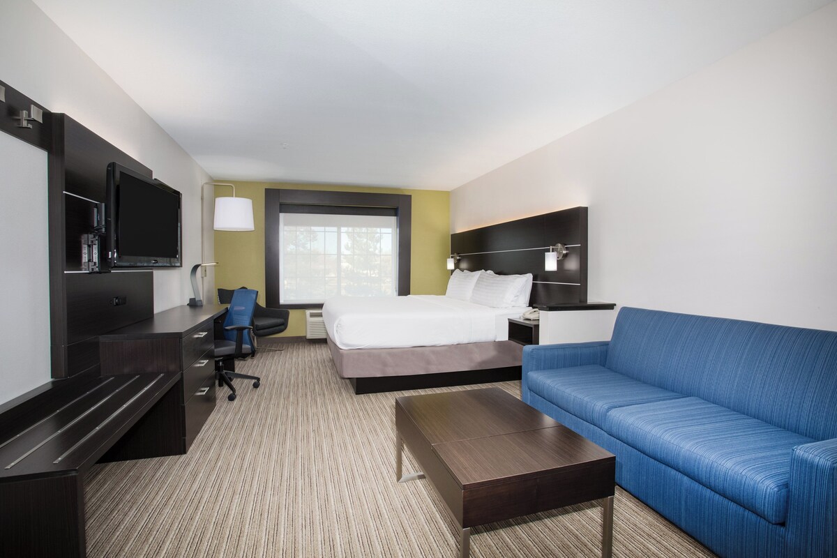 Suite, 1 très grand lit et 1 canapé-lit | Bureau, rideaux d’obscurcissement, fer et planche à repasser