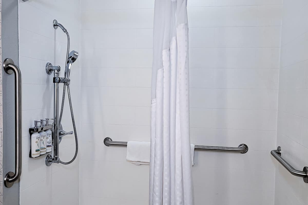 standard room, 1 king bed, accessible (roll-in shower) | in-room safe, desk, iron/ironing board, free cots/infant beds