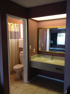 Un baño con inodoro, lavabo y espejo.
