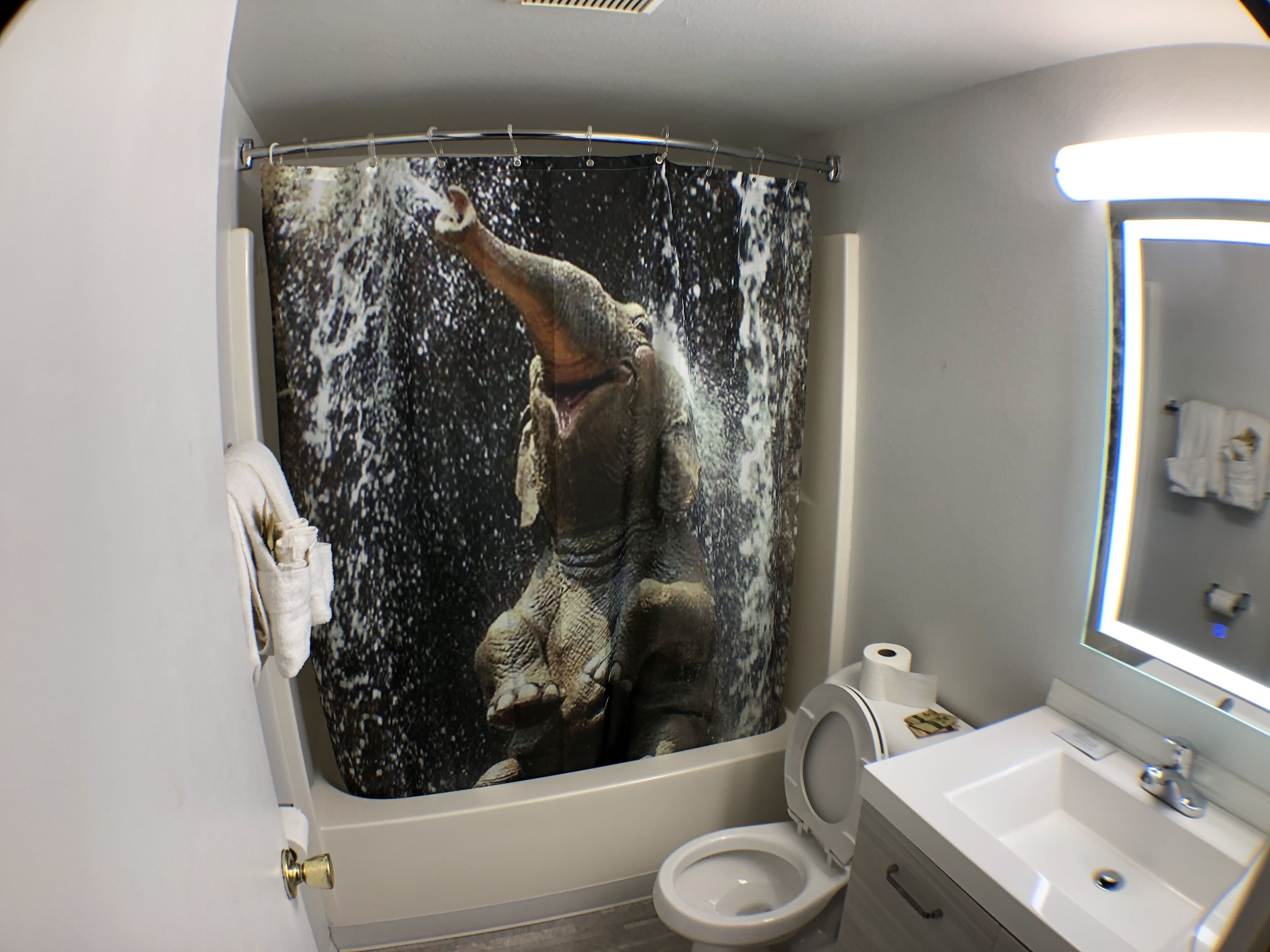 King Memory Foam Mountain View | Bathroom shower