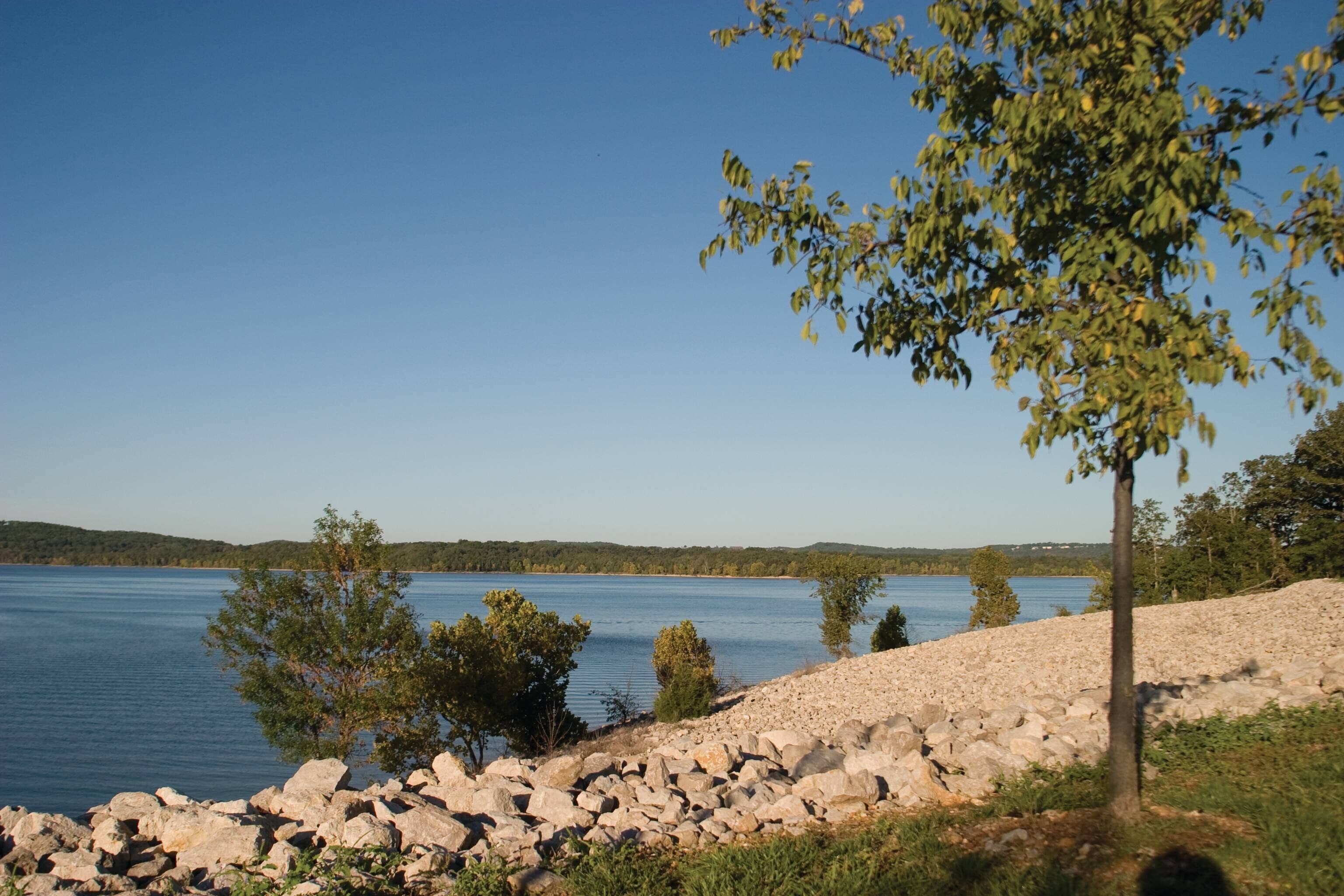 A lakeside view with a rocky shoreline, trees, and a clear sky.