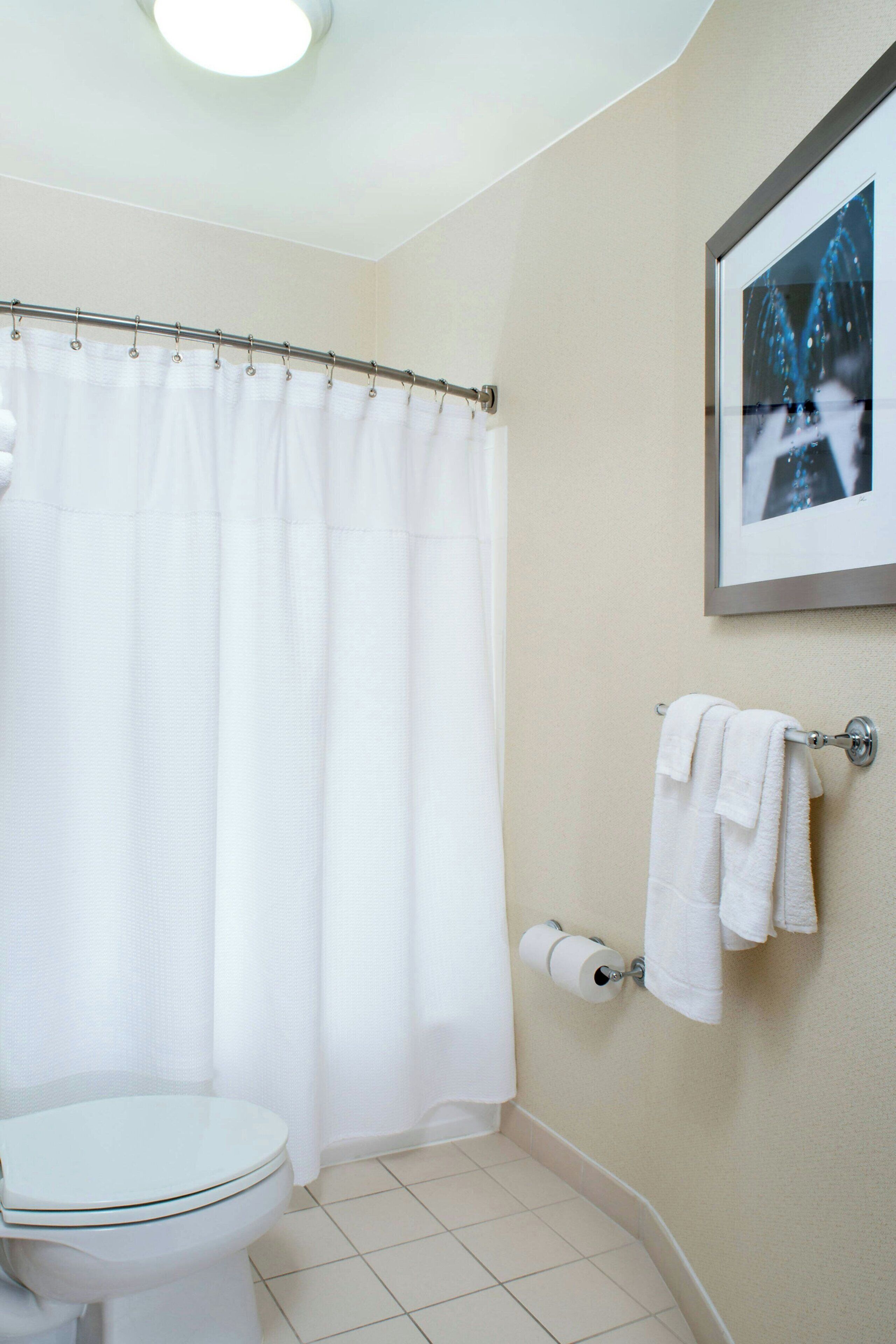 Un baño con inodoro, cortina de ducha, toallero con toallas, dispensador de papel higiénico y un cuadro en la pared.