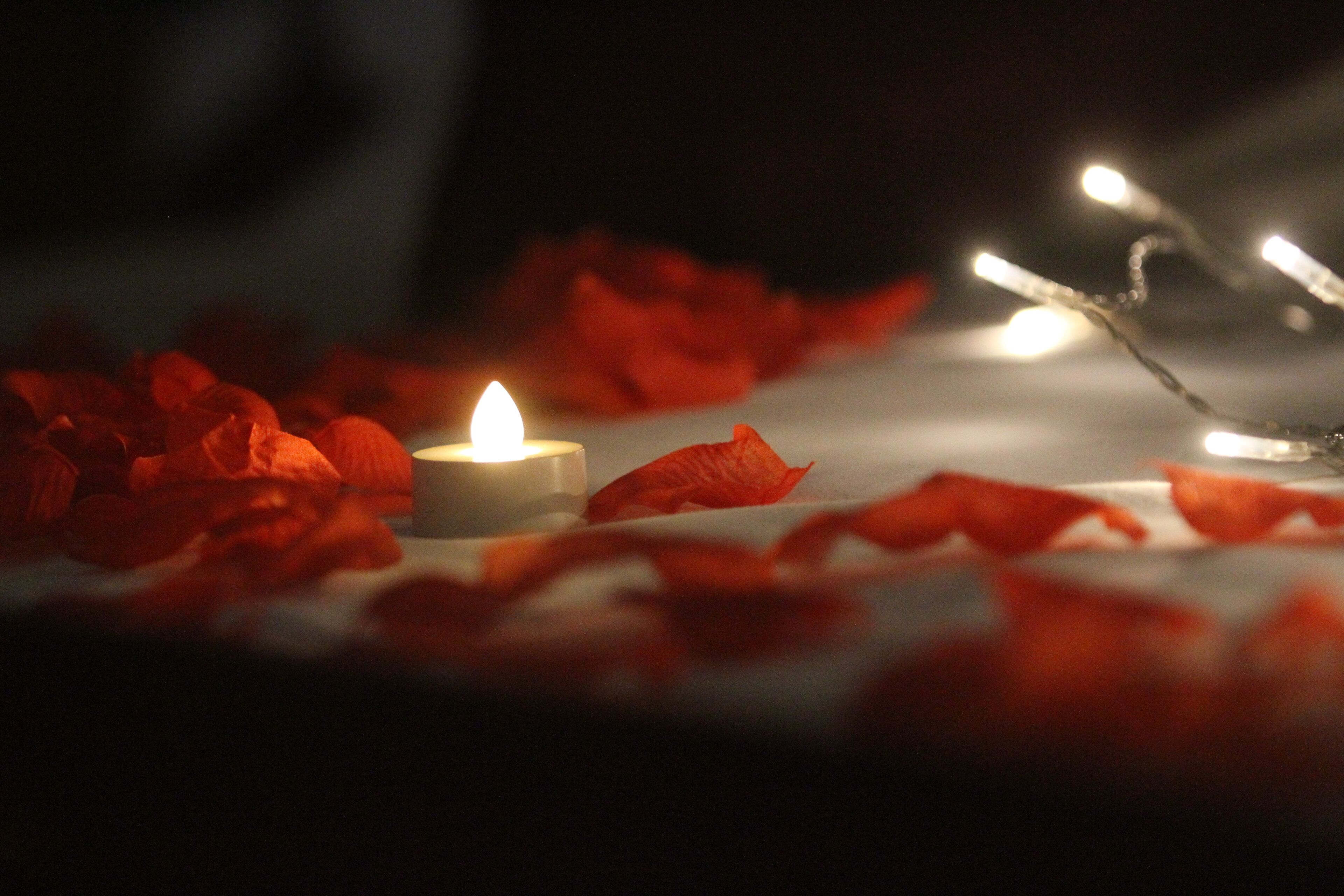 Sèche-cheveux, serviettes fournies, savon, shampoing