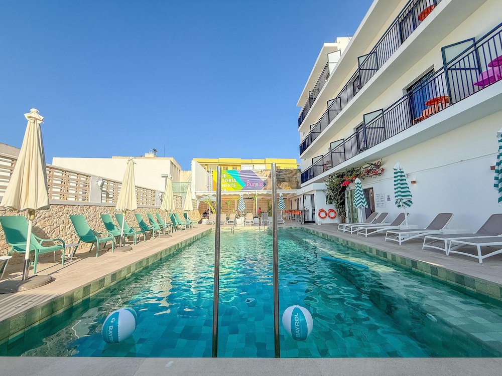 The Purple Hotel by null