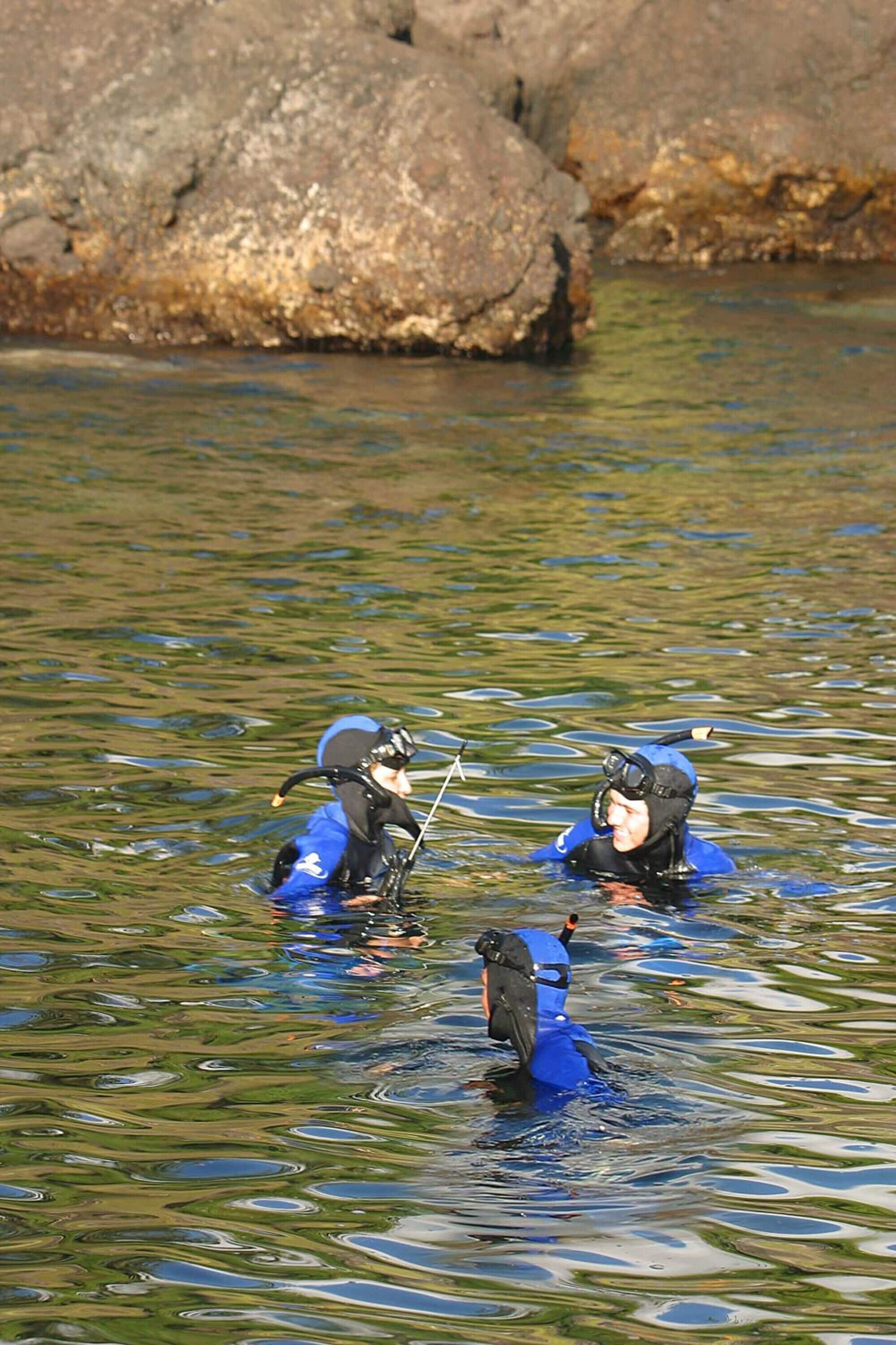 Foto - Quinta das Merces