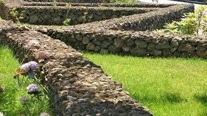 Un jardín paisajístico con senderos de piedra y plantas en flor.