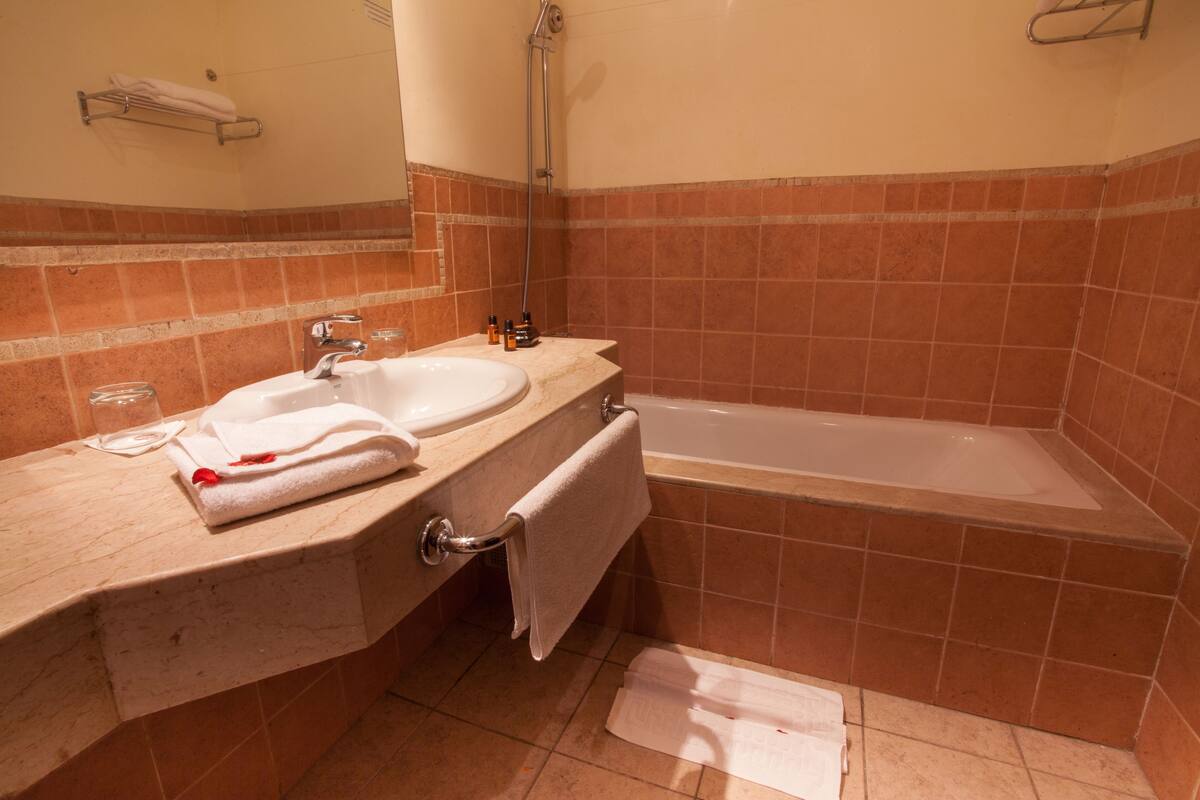 Bathtub, free toiletries, hair dryer, bidet