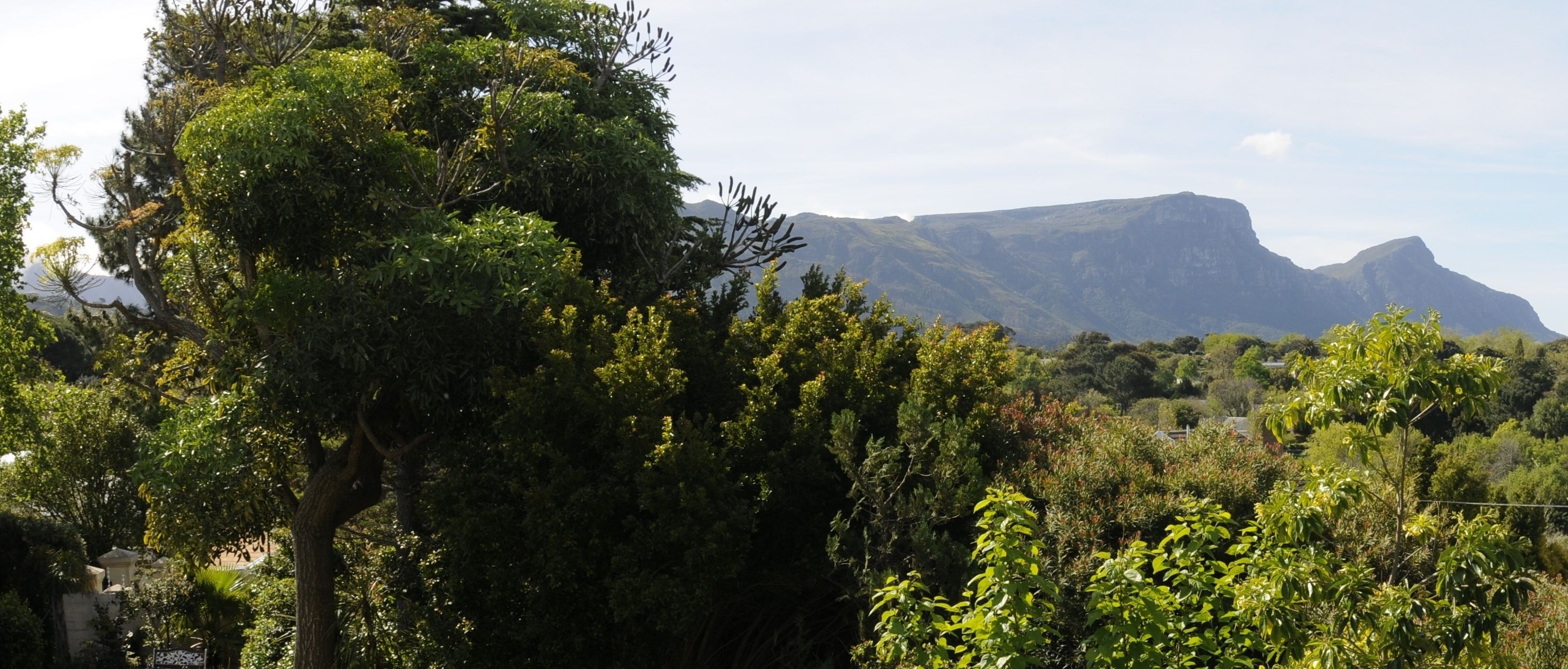 Foto - Summit Place Guesthouse