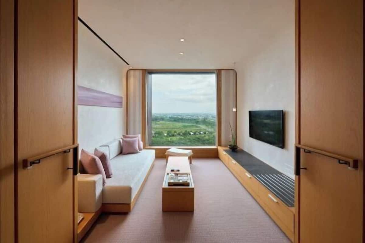 Televisión LED, Netflix, tenis de mesa y libros