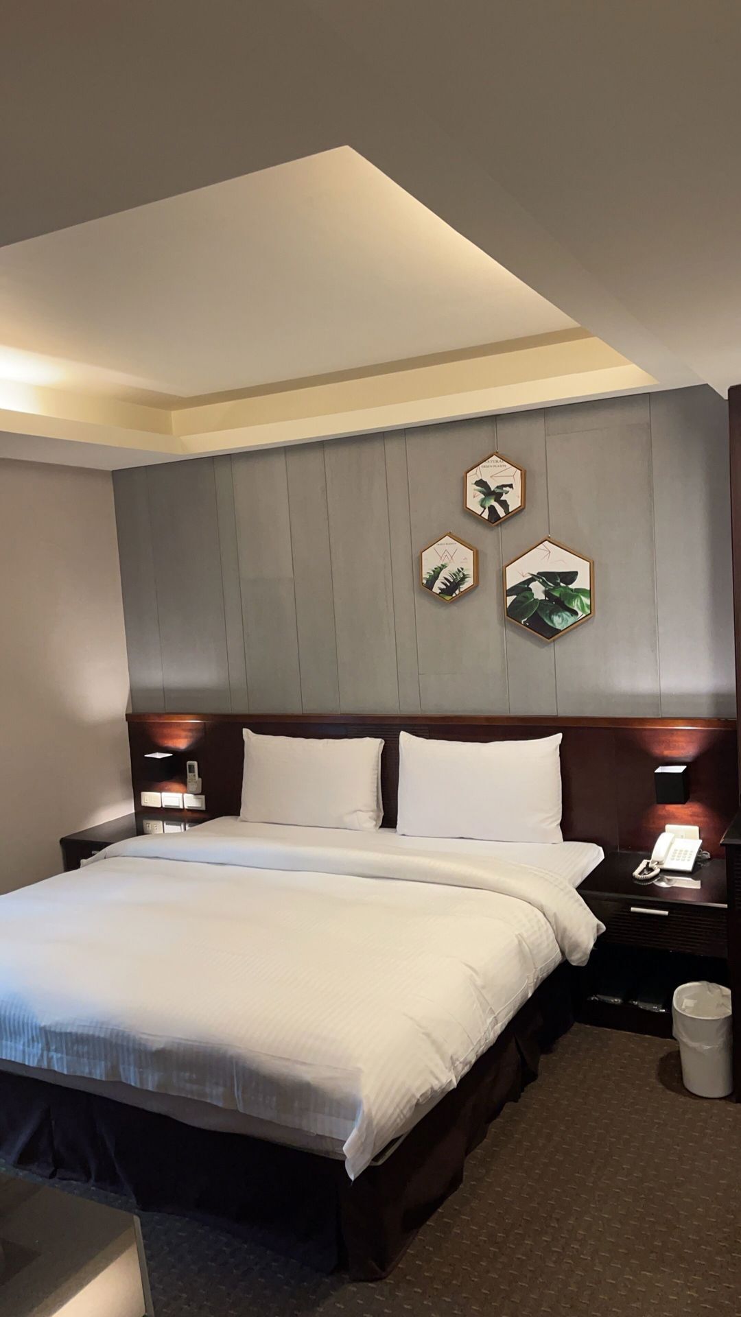 Literie de qualité supérieure, couette en duvet d'oie