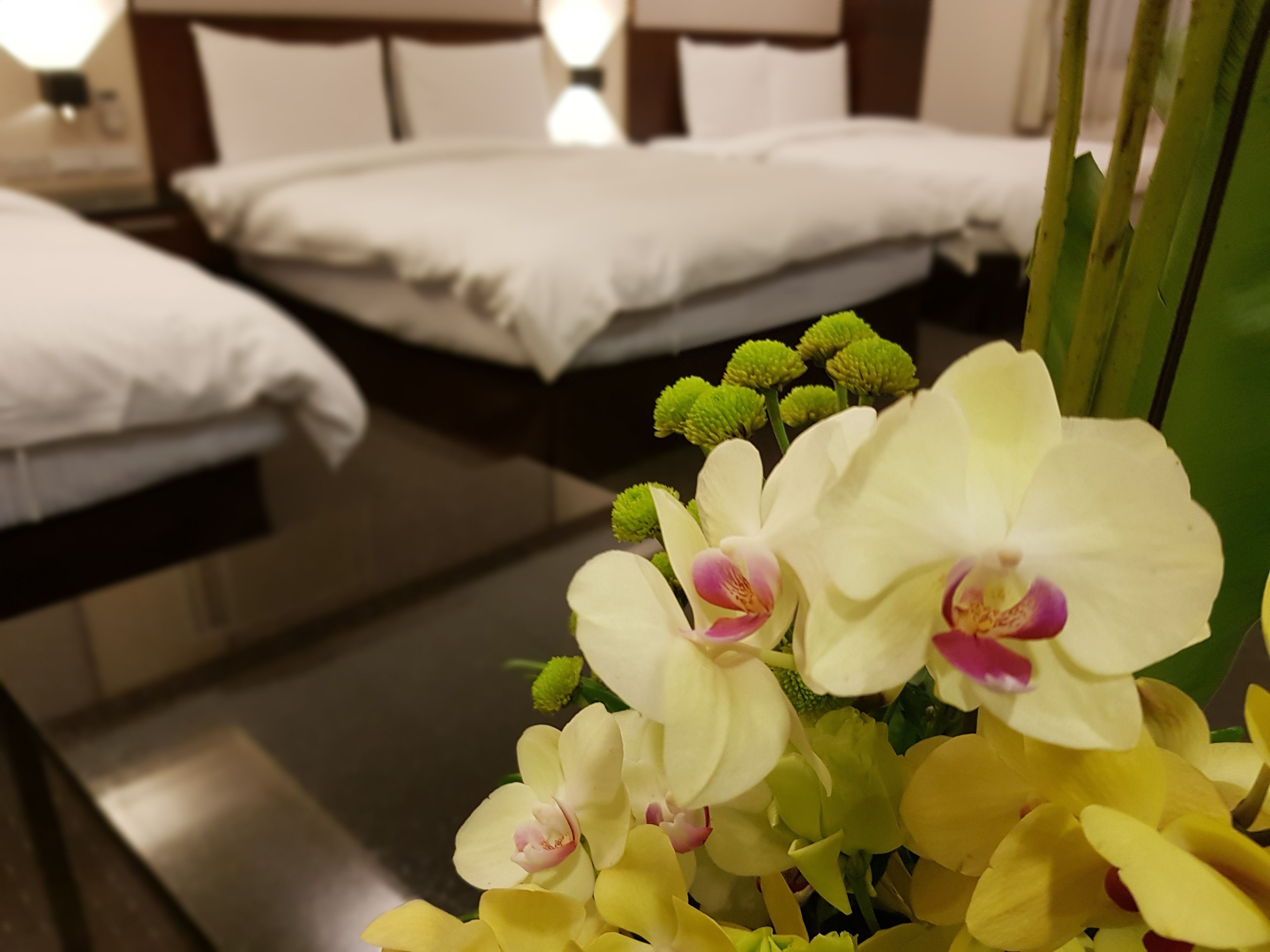Une chambre d’hôtel avec deux lits, une table de chevet et une lampe.
