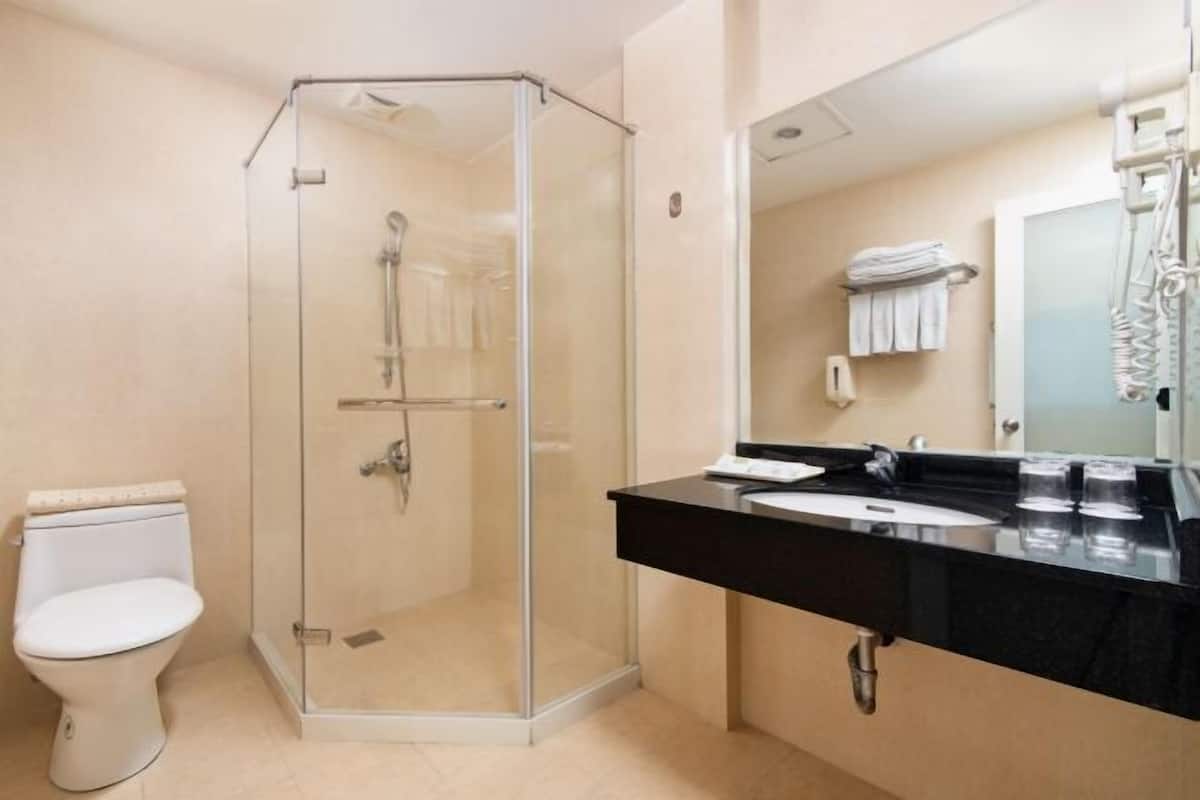 Shower, hydromassage showerhead, hair dryer, slippers