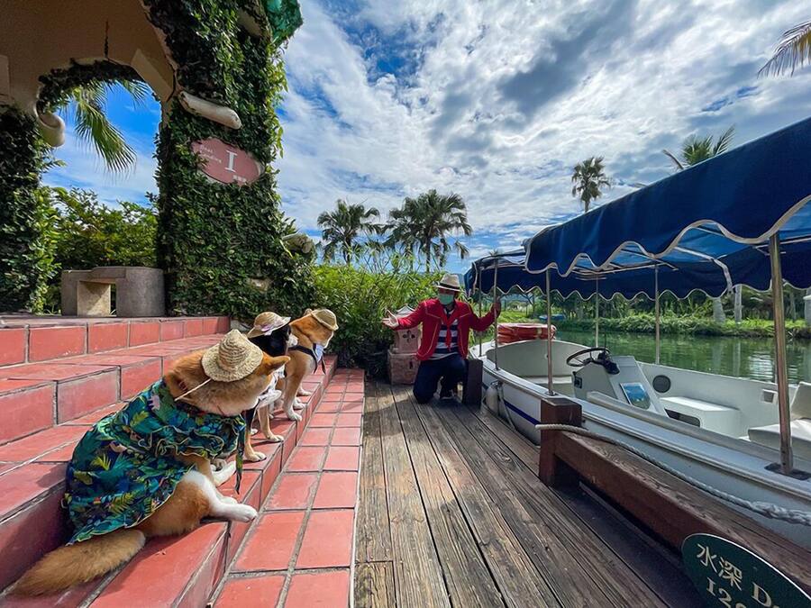 A wooden deck with a boat, palm trees, and a clear sky.