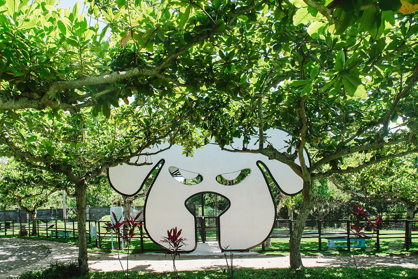 pet-friendly amenities