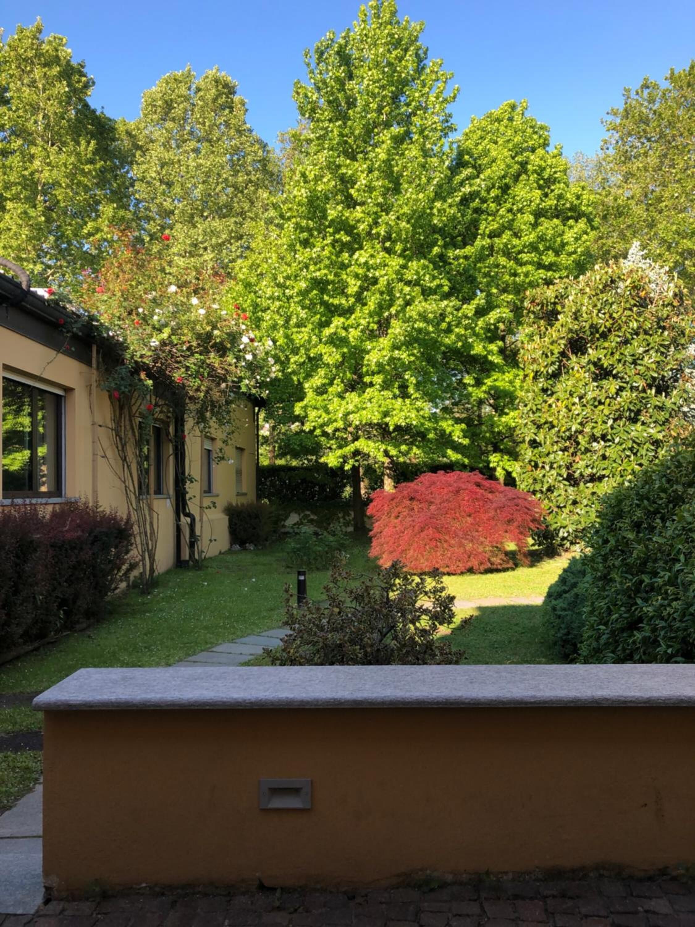 Ein Garten mit verschiedenen Bäumen, ein kleines Gebäude mit gelber Fassade und eine Steinsitzbank.