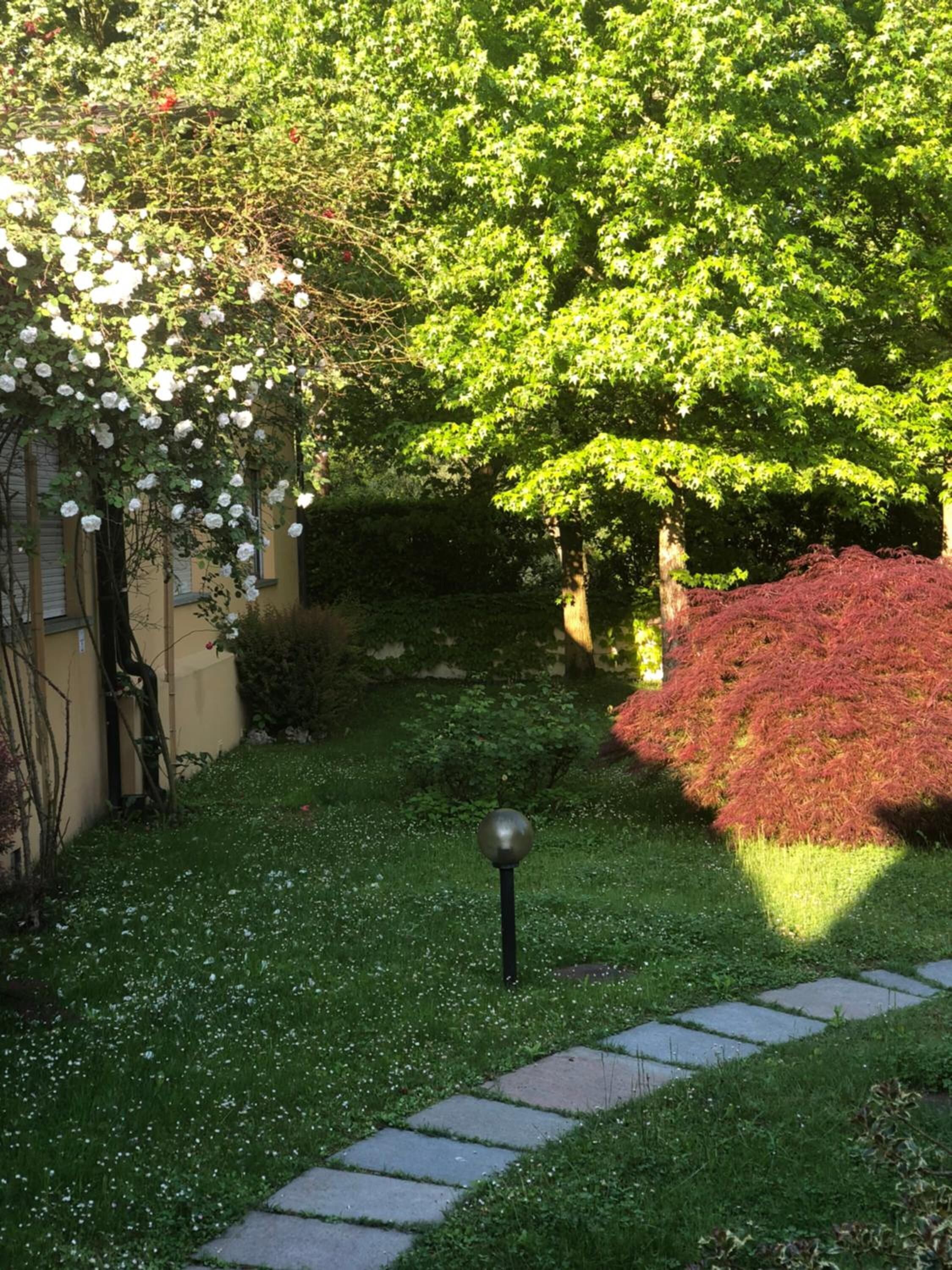 Um jardim com um caminho, um poste de luz e diversas plantas, incluindo rosas brancas e um arbusto vermelho.