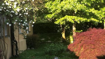Um jardim com um caminho, um poste de luz e diversas plantas, incluindo rosas brancas e um arbusto vermelho.