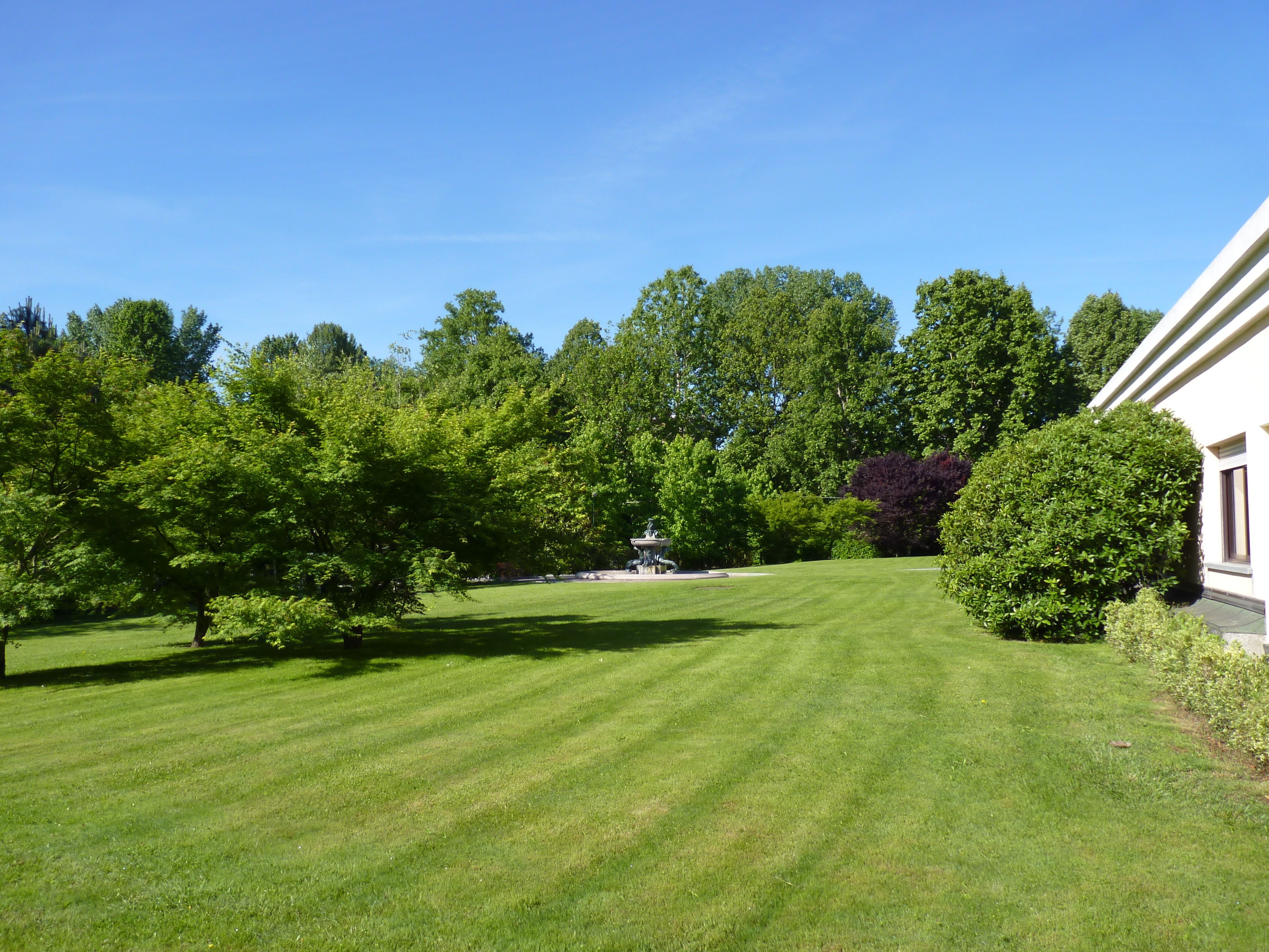 A well-manicured lawn with a fountain, surrounded by dense trees and a white building.