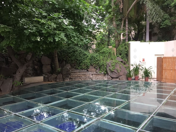 A glass-tiled pool surrounded by greenery and a stone wall.